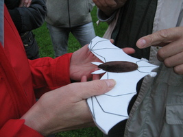 Das Modell einer Fledermaus in den Händen einer Teilnehmerin.
